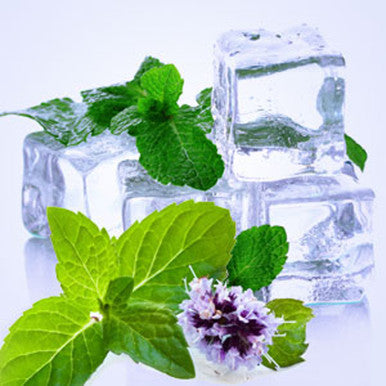 Spearmint Fragrance Oil fragrance oil bottle