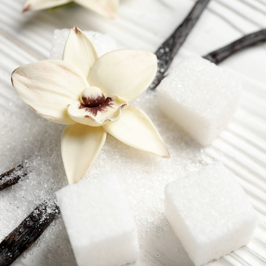 Sugared Vanilla Petals Fragrance Oil fragrance oil bottle