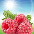 Sun Ripened Raspberry Fragrance Oil fragrance oil bottle