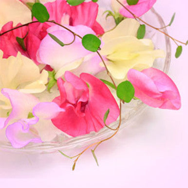 Sweet Pea Fragrance Oil fragrance oil bottle