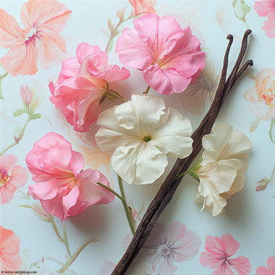 Sweet Pea Vanilla Fragrance Oil fragrance oil bottle
