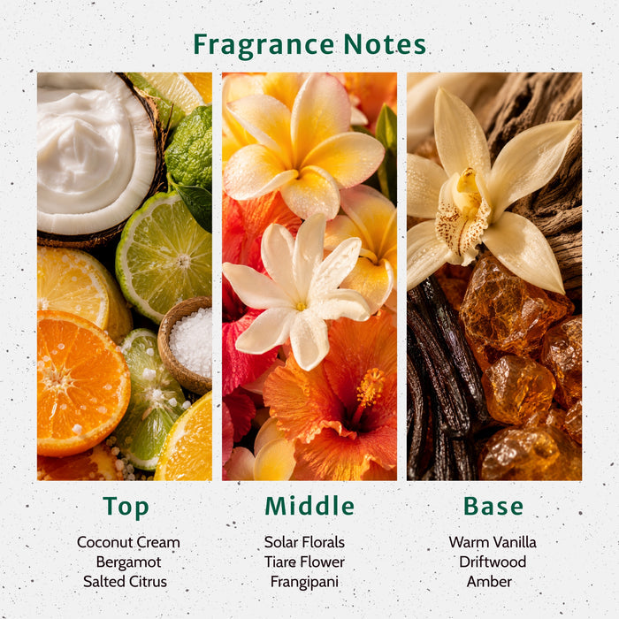 Tan Lines and Trouble Fragrance Oil