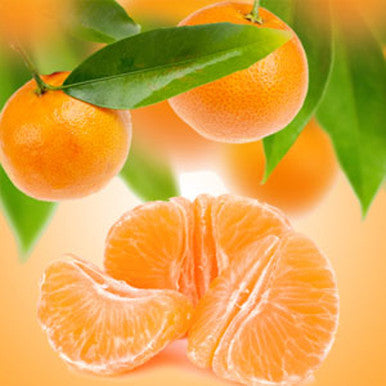 Tangerine Dreams Fragrance Oil fragrance oil bottle