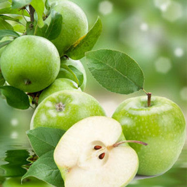 Tart Green Apple Fragrance Oil fragrance oil bottle
