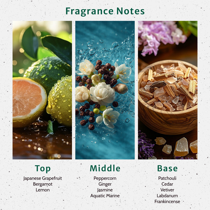 The Perfect Man Fragrance Oil fragrance oil bottle