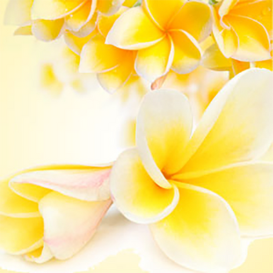 Tiare Flowers Fragrance Oil fragrance oil bottle