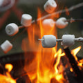 Toasted Marshmallow Fragrance Oil fragrance oil bottle