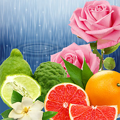 Torrential Rains Fragrance Oil fragrance oil bottle