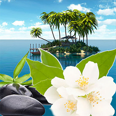 Tranquil Oasis Fragrance Oil fragrance oil bottle