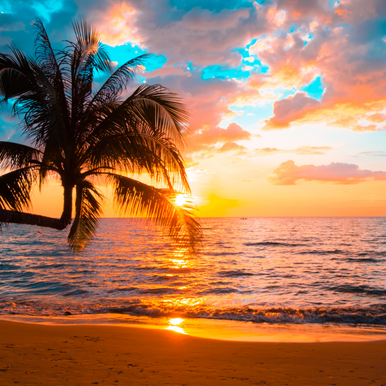 Tropical Sunrise Fragrance Oil fragrance oil bottle