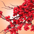 Twigs n Berries Fragrance Oil fragrance oil bottle