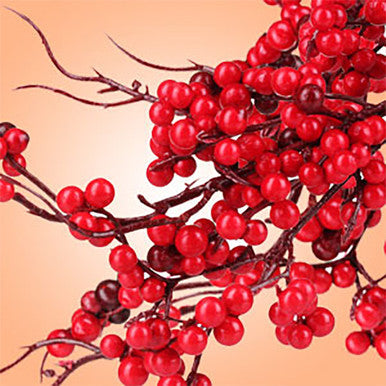 Twigs n Berries Fragrance Oil fragrance oil bottle