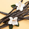 Vanilla Bean Fragrance Oil fragrance oil bottle