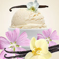 Vanilla Musk Fragrance Oil fragrance oil bottle