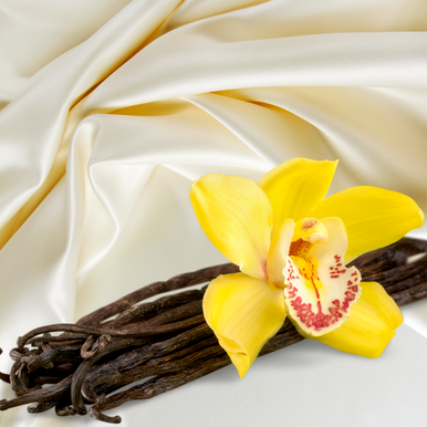 Vanilla Silk Fragrance Oil fragrance oil bottle