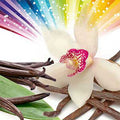 Vanilla SPECTACULAR Fragrance Oil fragrance oil bottle