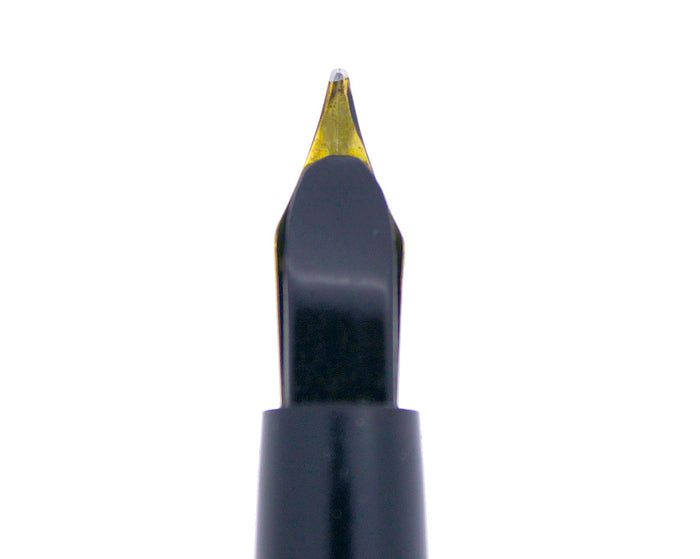 WATERMAN LACK CHASED HARD RUBBER FOUNTAIN PEN F TO BBB FLEX NIB RESTORED OFFERED BY ANTIQUE DIGGER