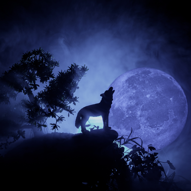Werewolf Fragrance Oil fragrance oil bottle