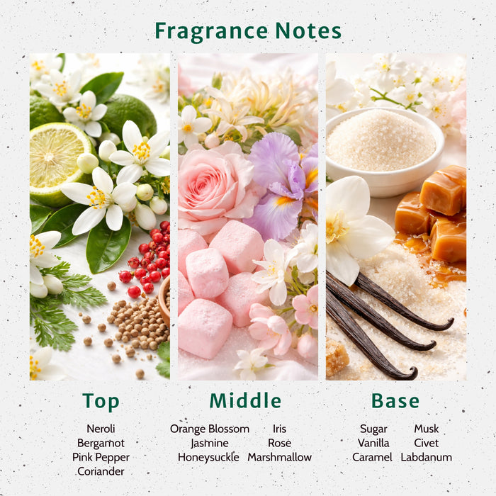 Whispering Muse Fragrance Oil lifestyle product image