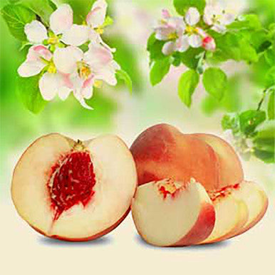 White Peach and Silk Blossoms Fragrance Oil fragrance oil bottle