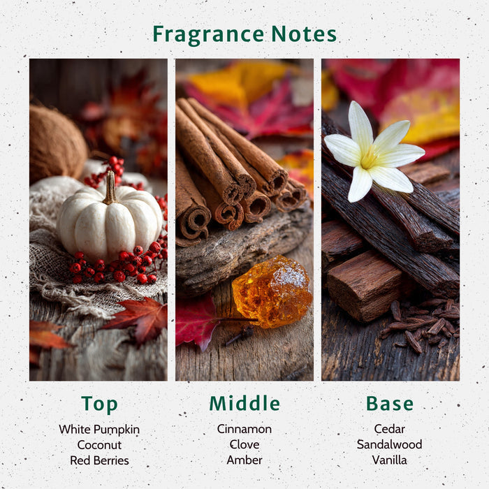 White Pumpkin Amber Fragrance Oil fragrance oil bottle