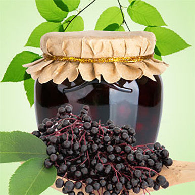Wild Elderberry Fragrance Oil fragrance oil bottle