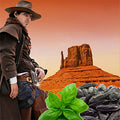 Wild Wild West Fragrance Oil fragrance oil bottle
