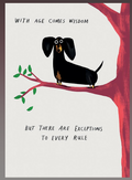 Wisdom Birthday Card