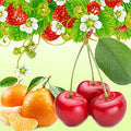 Yeah for YUMMY Fragrance Oil fragrance oil bottle