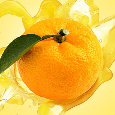 Yuzu Fragrance Oil fragrance oil bottle